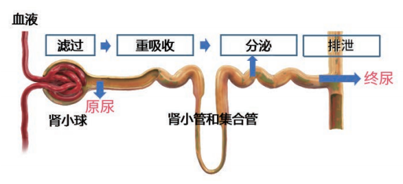 微信图片_20230310142233